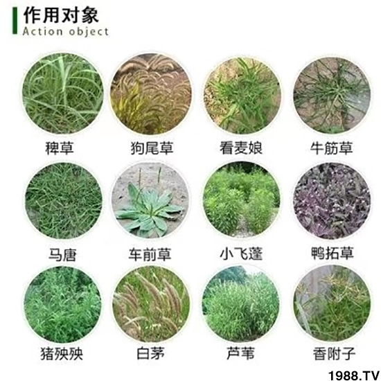 𡿹ףϿ͑󼪣´옷(l)ؔ(ci)ԴLL  