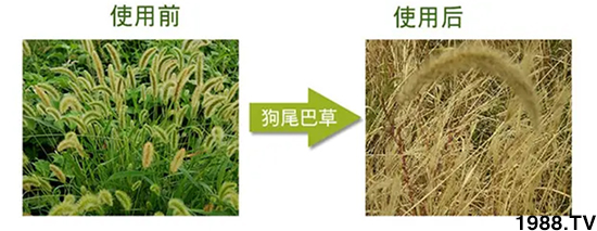 𡿹ףϿ͑´옷(l)ؔ(ci)ԴLL