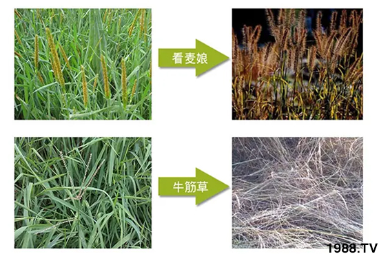 𡿹ףϿ͑󼪣´옷(l)ؔ(ci)ԴLL