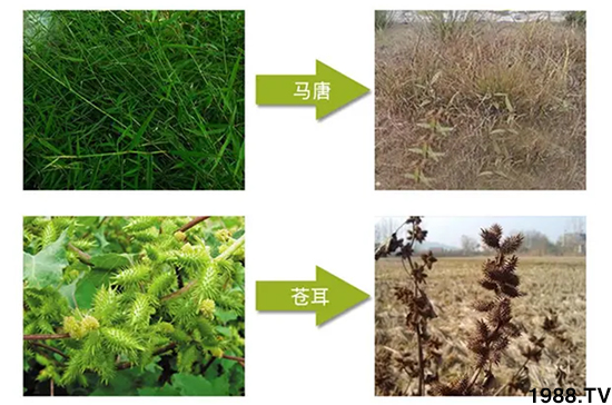 𡿹ףϿ͑󼪣´옷(l)ؔ(ci)ԴLL