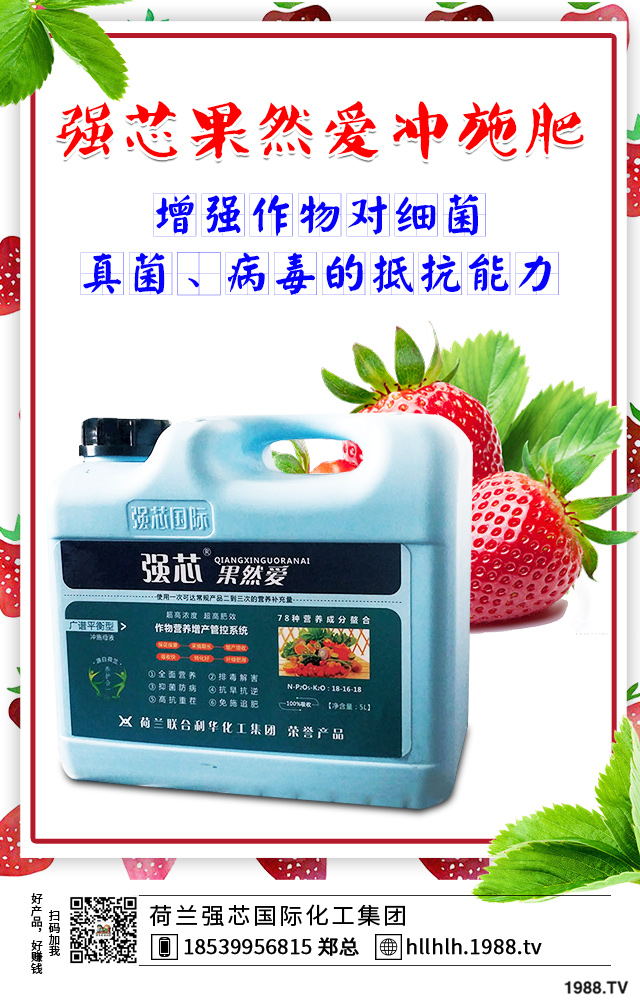 2020Nֲʲô߲ܒX2020߲˷Nֲǰ