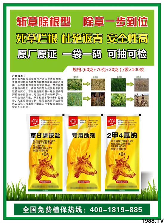 𡿹ףϿ͑´옷(l)ؔ(ci)ԴLL