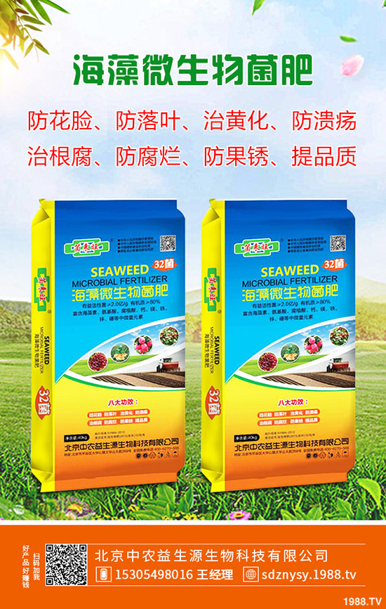 2020春季種植馬鈴薯技術(shù)要點!如何催芽?注意事項有哪些?