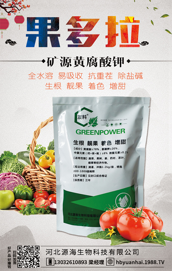 馬蹄種植方法要點(diǎn)有哪些?馬蹄種植常見病害!