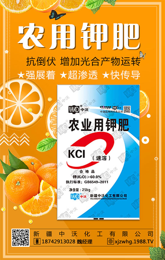 【新疆中沃化工】恭祝新老朋友新年快樂,鼠年吉祥!2020滾滾財源!