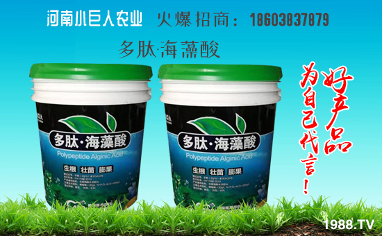 СrI(y)ףµһ﹤