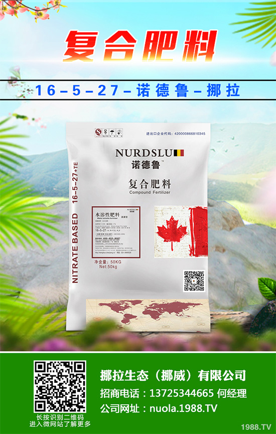 NֲʲôˮٍX2020ˮNֲָ