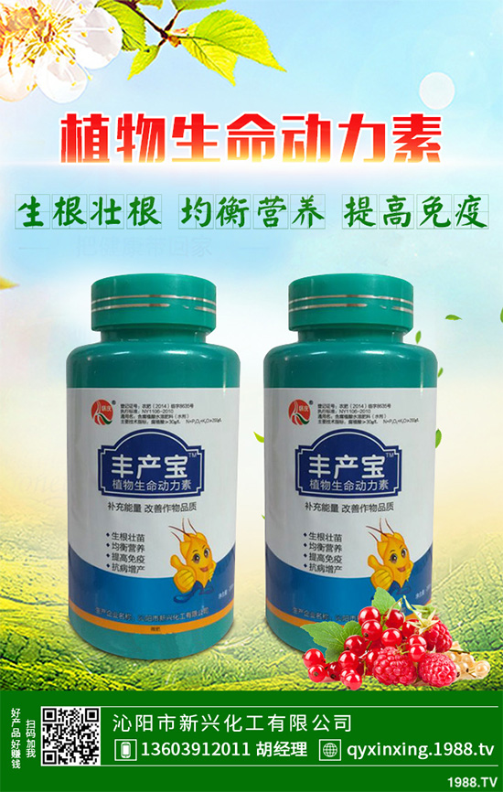 怎樣才能種好大白菜?大白菜高產(chǎn)種植技術(shù)要點