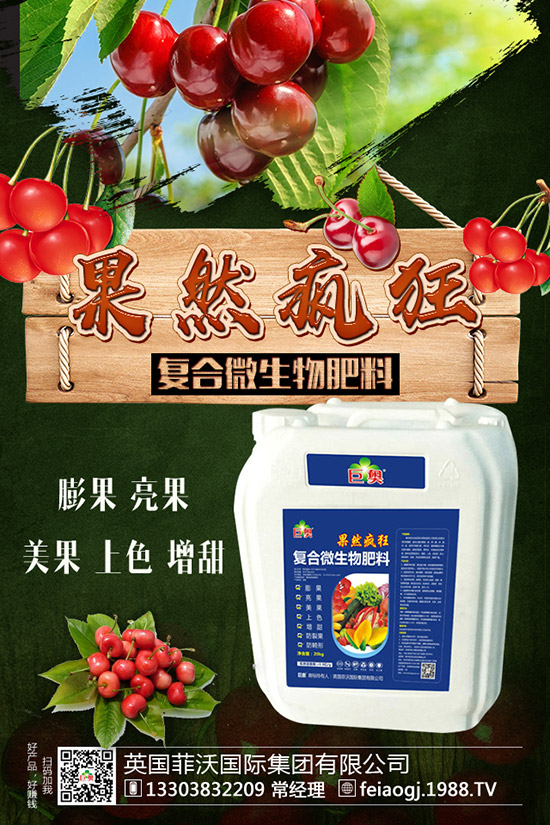 如何種植糯玉米才能實現(xiàn)高產(chǎn)?糯玉米種植要點有哪些