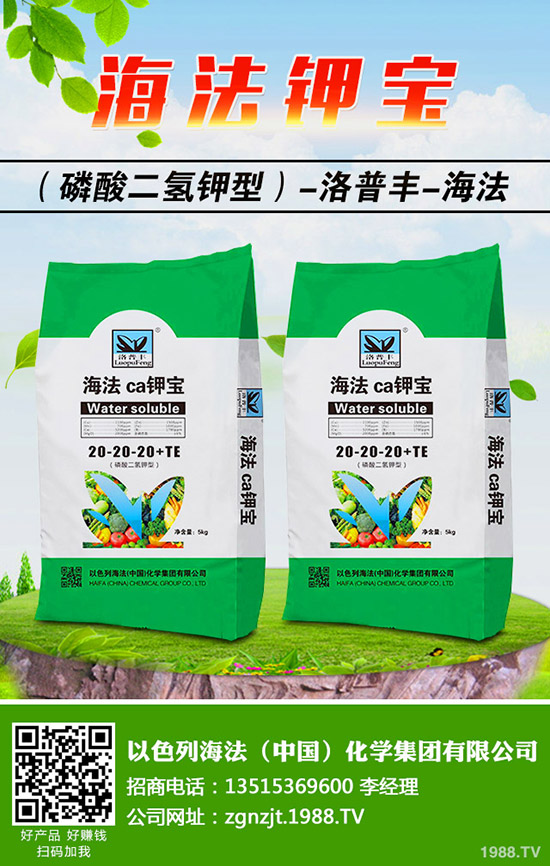 ö޼䶬޼ĕr(sh)g