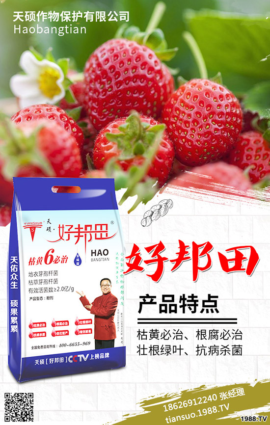 2020年農村種植什么水果賺錢?哪些種果樹品種比較好?