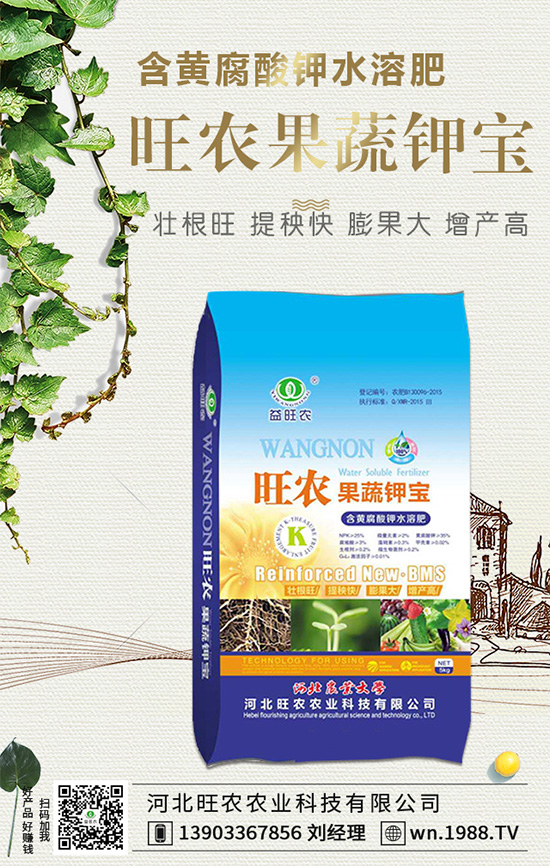 L(x)ЩB(yng)o(h)Ҫc(din)