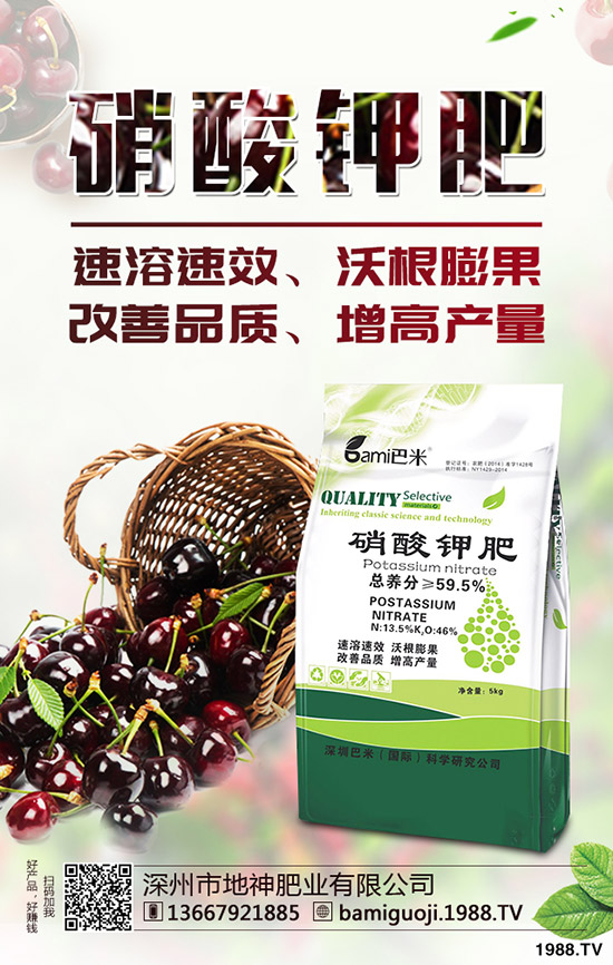 好吃的釋迦果要如何種植?釋迦果種植時(shí)間及方法!