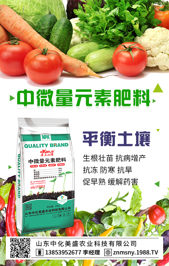 ⶹĠIB(yng)ɷ֣ⶹʳý