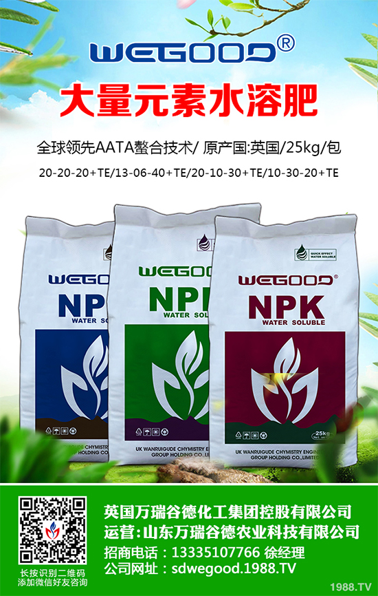 ¶ʲôr(sh)Nֲ¶߮a(chn)Nֲg(sh)