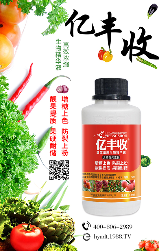 【淮陽縣安得泰】恭祝新老朋友鼠年行大運(yùn),滾滾財(cái)源,家家幸福!