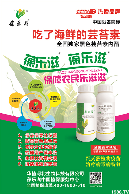 Aֲӱףⲽд\