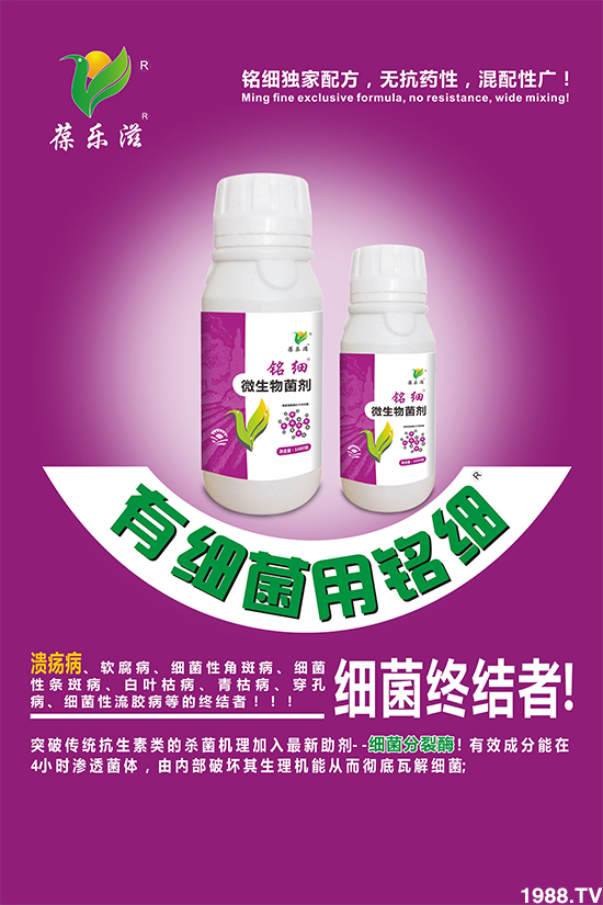 Aֲӱףⲽд\