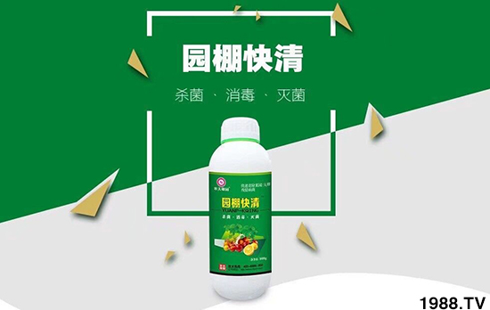 【農(nóng)夫稼園】祝全國朋友,2020年新年快樂,萬事如意!財運兩旺!