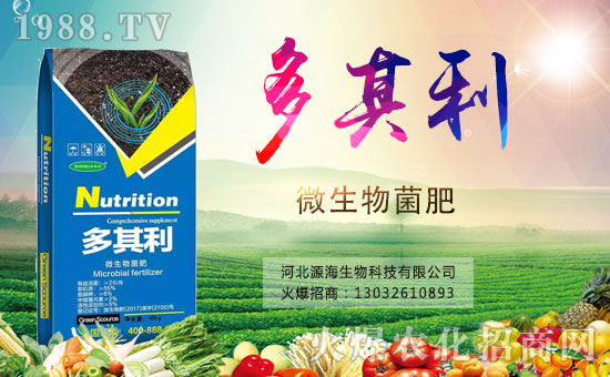 【河北源!孔4蠹倚履昕鞓,幸福開心,年年有福!