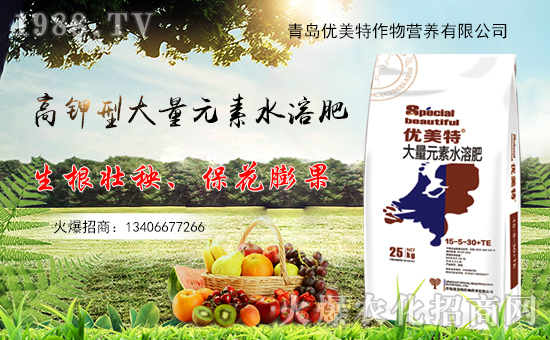 u(yu)ءףҺϼ҈F(tun)AҸ옷(l)wv꣡