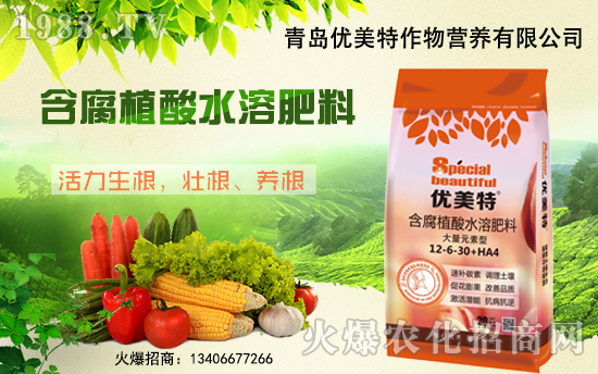 u(yu)ءףҺϼ҈F(tun)AҸ옷(l)wv꣡