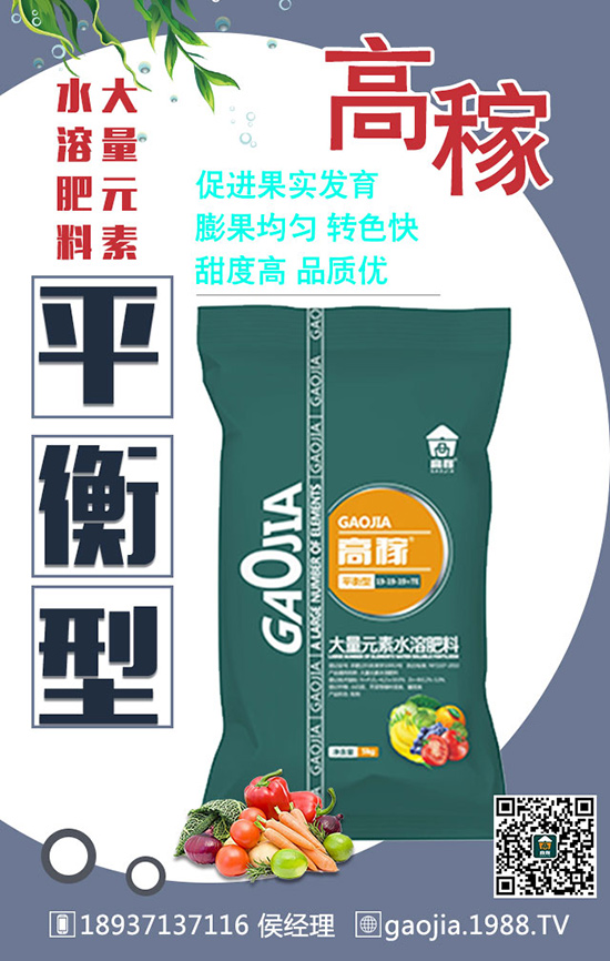 冬季拔高大蒜產(chǎn)量,離不開(kāi)大蒜的合理管理!