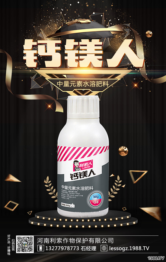 白菜價(jià)格多少錢一斤?白菜畝產(chǎn)多少斤?種植前景怎么樣?