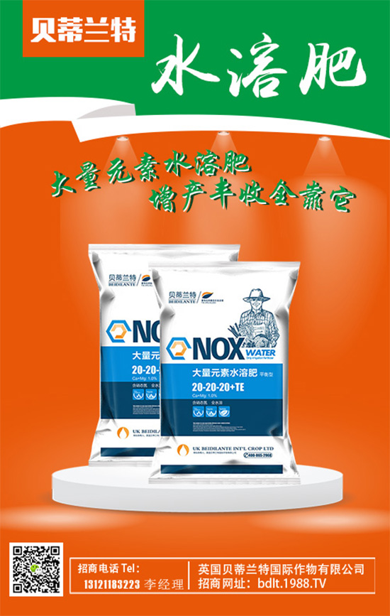 【英國(guó)貝蒂蘭特】祝您歡歡喜喜迎鼠年,萬事如意平安年!