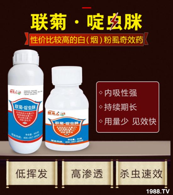 ݝףȫrYNт2020옷ϲl(f)ؔ