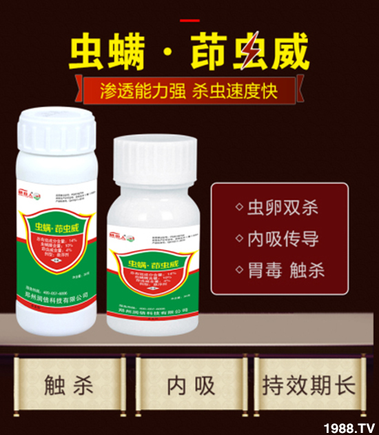 ݝףȫrYNт2020옷ϲl(f)ؔ