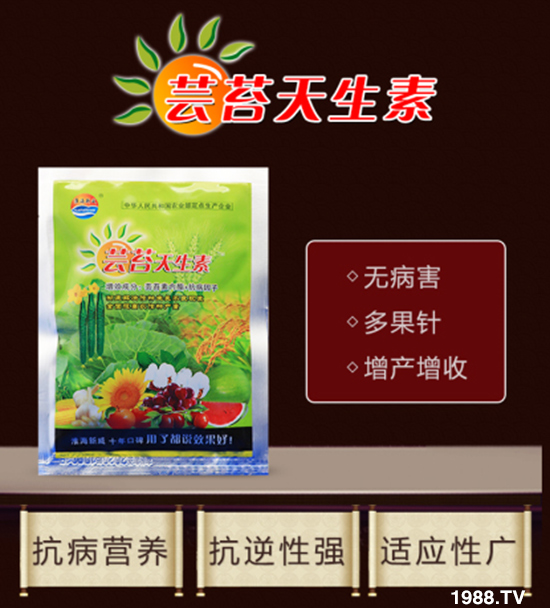 ݝףȫrYNт2020옷ϲl(f)ؔ