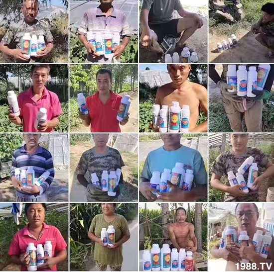 ݝףȫrYNт2020옷ϲl(f)ؔ