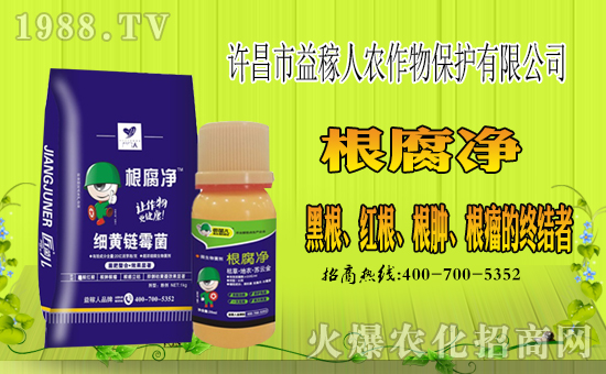 Sˡףµһؔ(ci)\(yn)LLd¡