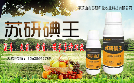 【平頂山市蘇研印象】祝大家在新的一年里身體健康!心想事成!萬事如意!