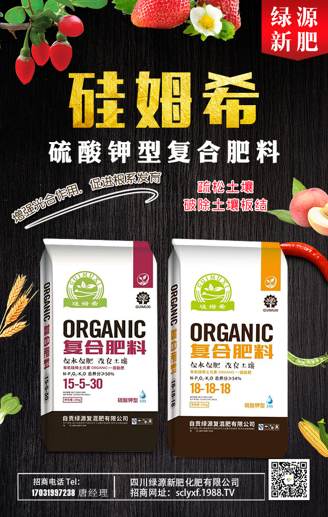 GԴ·ʡףһ·߁т꼪\o