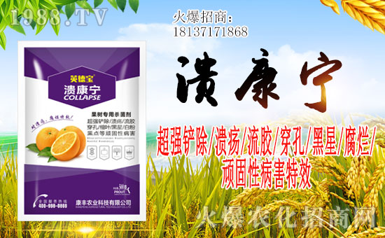 【河南康豐農(nóng)業(yè)】祝一路陪伴的朋友們身體健康,鼠年大吉!