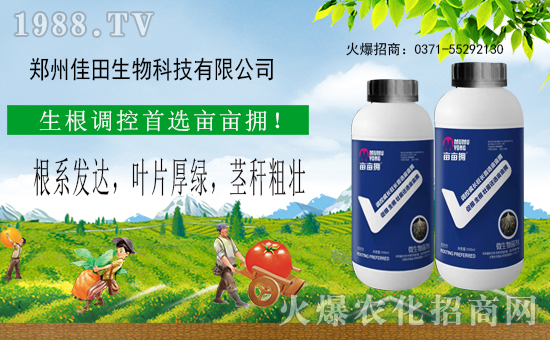 【鄭州佳田生物】祝全國(guó)農(nóng)資經(jīng)銷商朋友鼠年大吉,新春快樂(lè)!