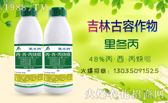 【吉林古容】祝大家身體健康,家庭康泰,萬事如意!