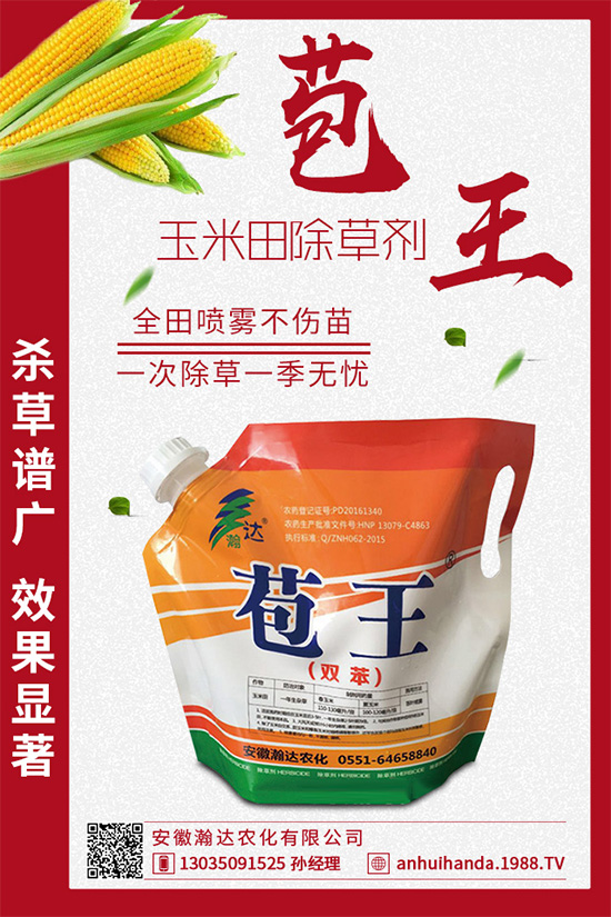 【吉林古容】祝大家身體健康,家庭康泰,萬事如意!