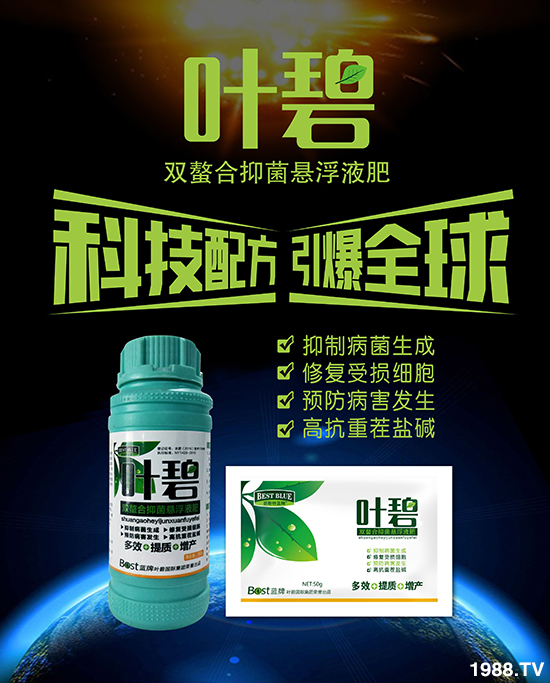     ˹ףٸRT´2020´옷