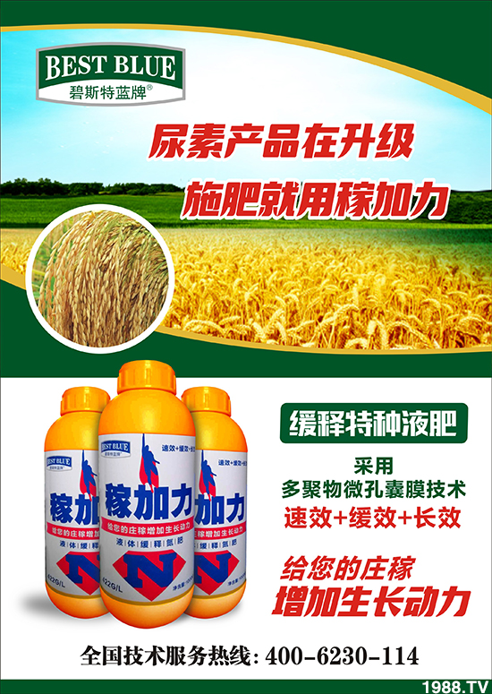     ˹ףٸRT´2020´옷