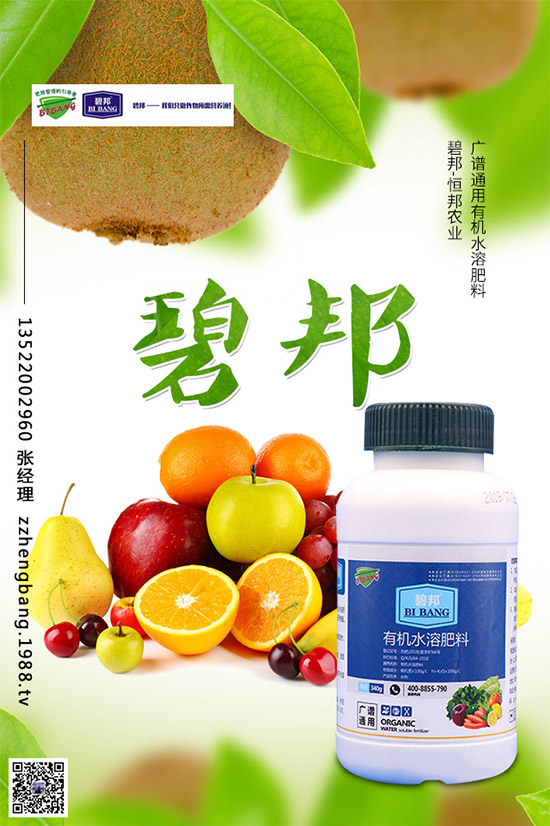 春季甘藍該如何種植?春甘藍高產管理技術