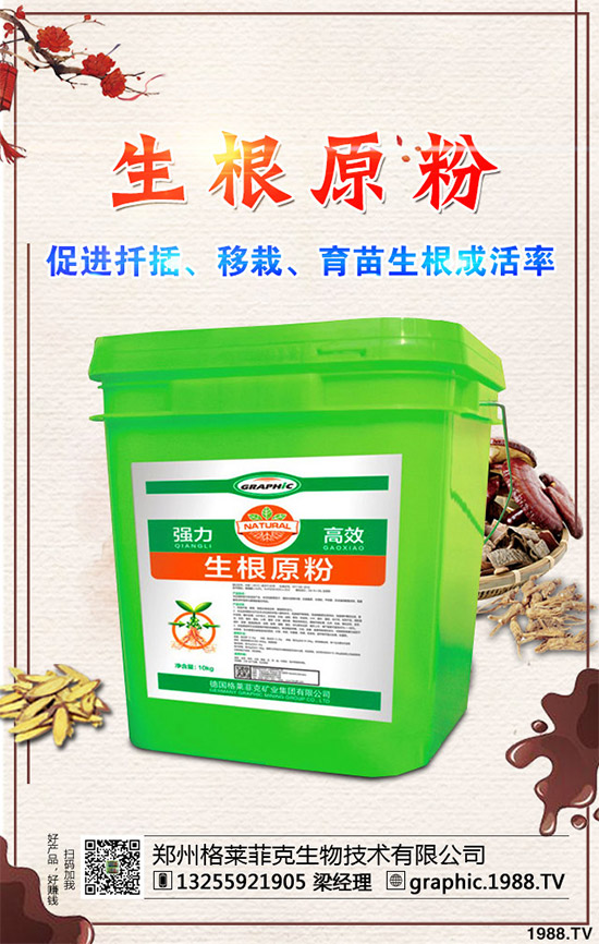 春季甘藍該如何種植?春甘藍高產管理技術