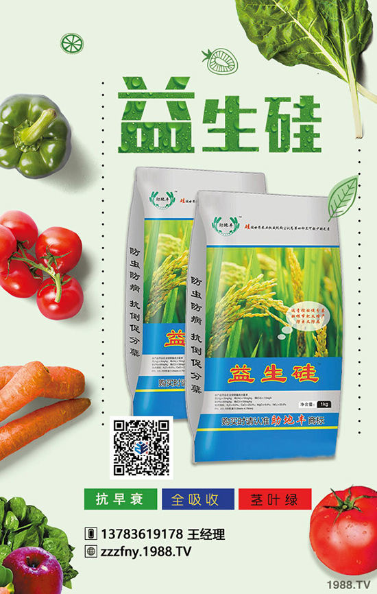 卷心菜好吃又不貴,但卷心菜施肥增產(chǎn)有方法