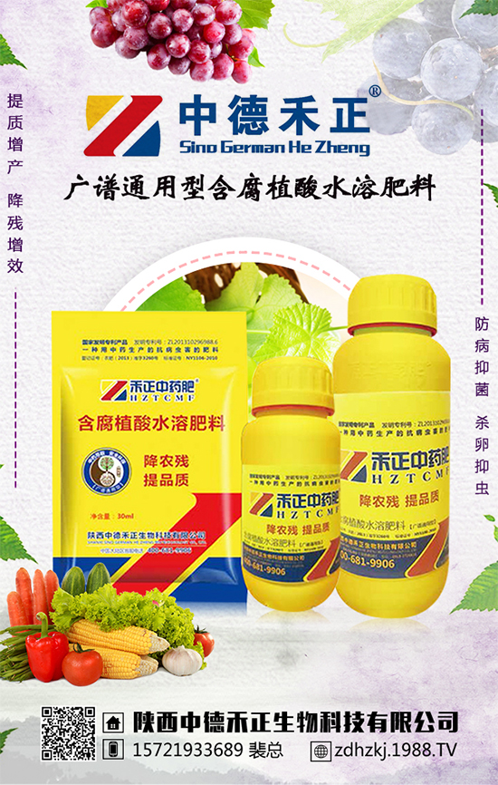 【中德禾正】祝廣大經(jīng)銷商2020年事業(yè)騰飛!鼠年大吉!新年好!