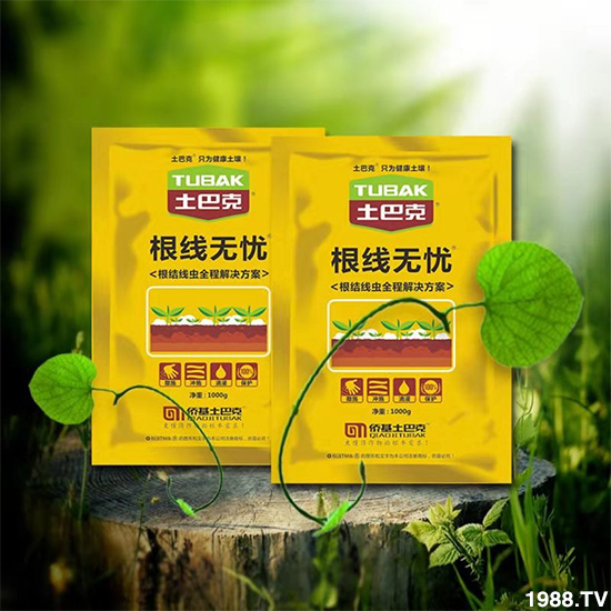 Sףȫ(gu)wf(wn)