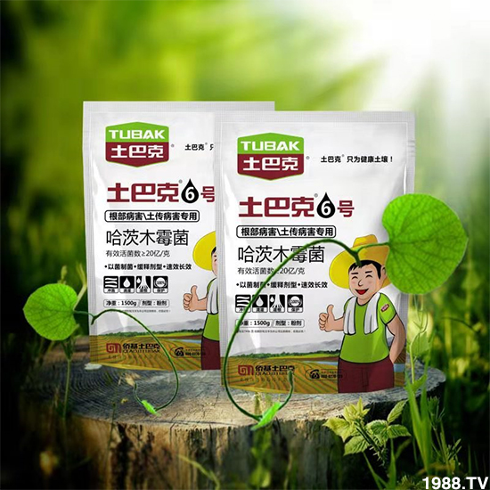 Sףȫ(gu)wf(wn)⣡