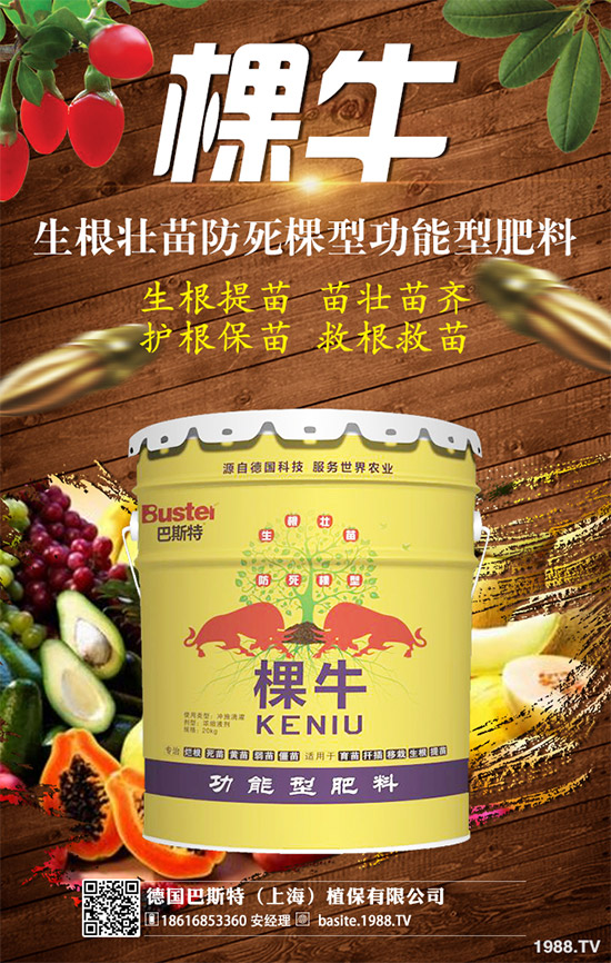 【德國巴斯特】祝愿您鼠年:朋友知心,愛人同心,永遠開心,事事稱心!