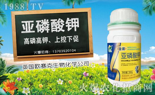 ľʲôrNֲľϷNֲrgNֲgҪc